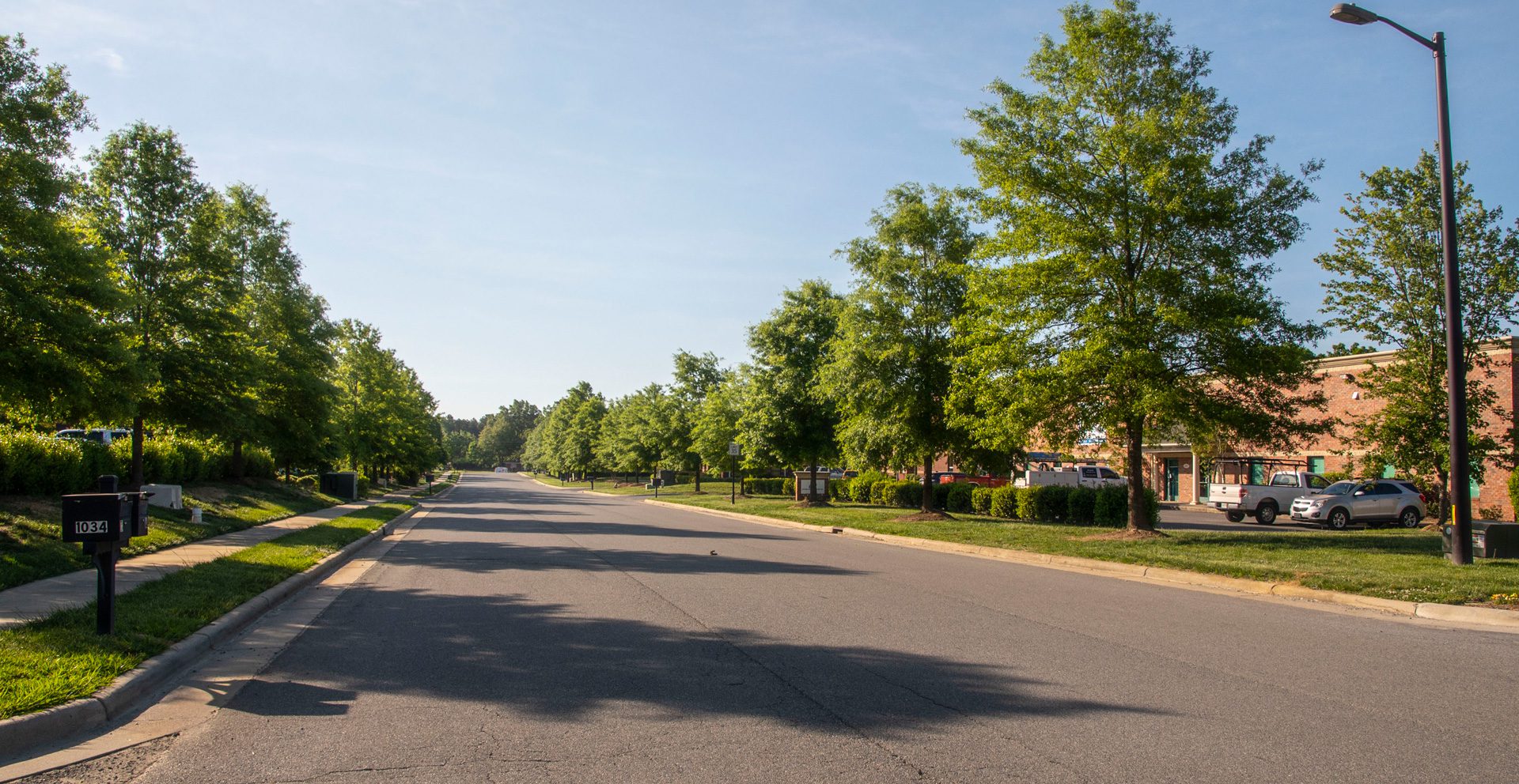 Old Hickory street lined with trees on a sunny day