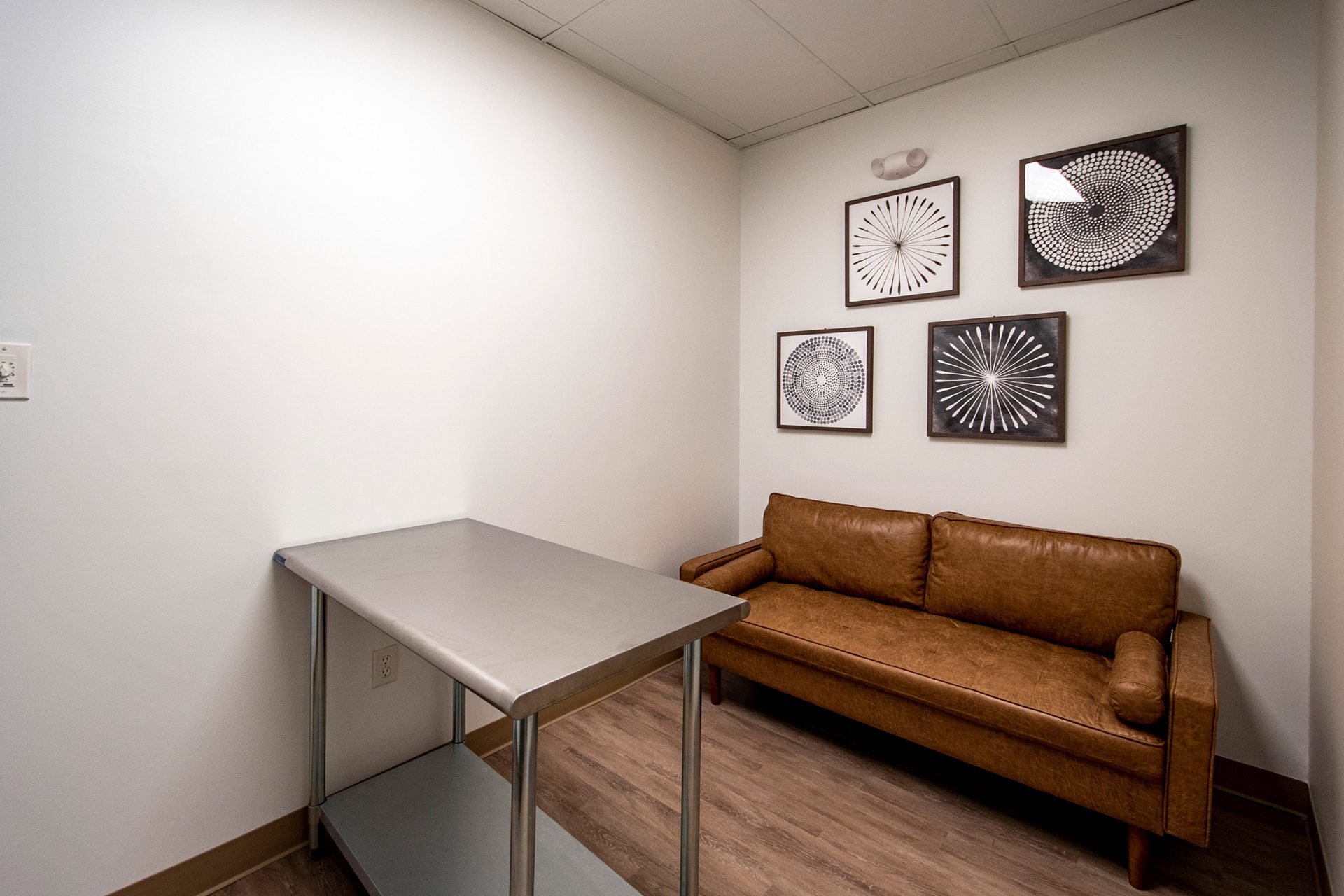 Whole Pet Veterinary Hospital consultation room with steel table and leather couch