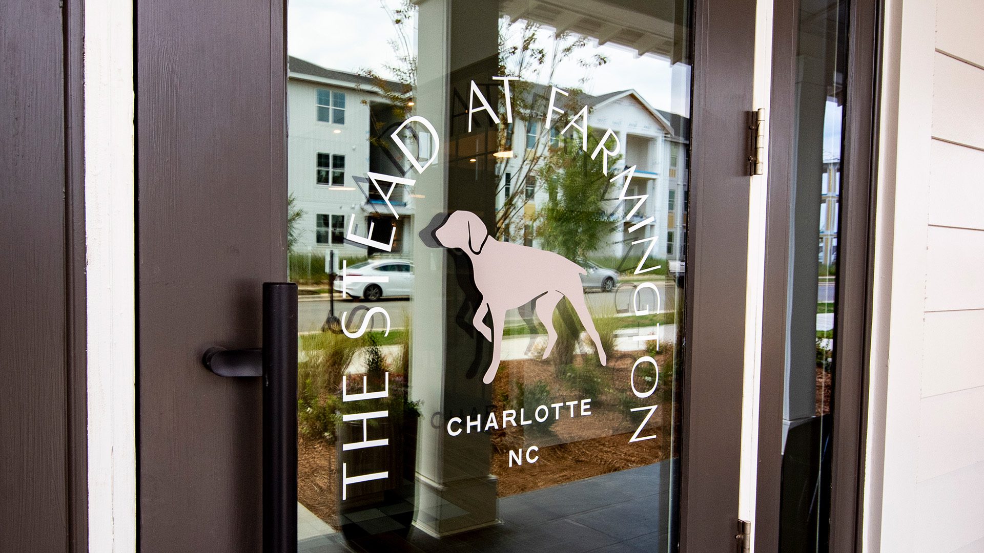 The Stead sign on glass door with dog pointing