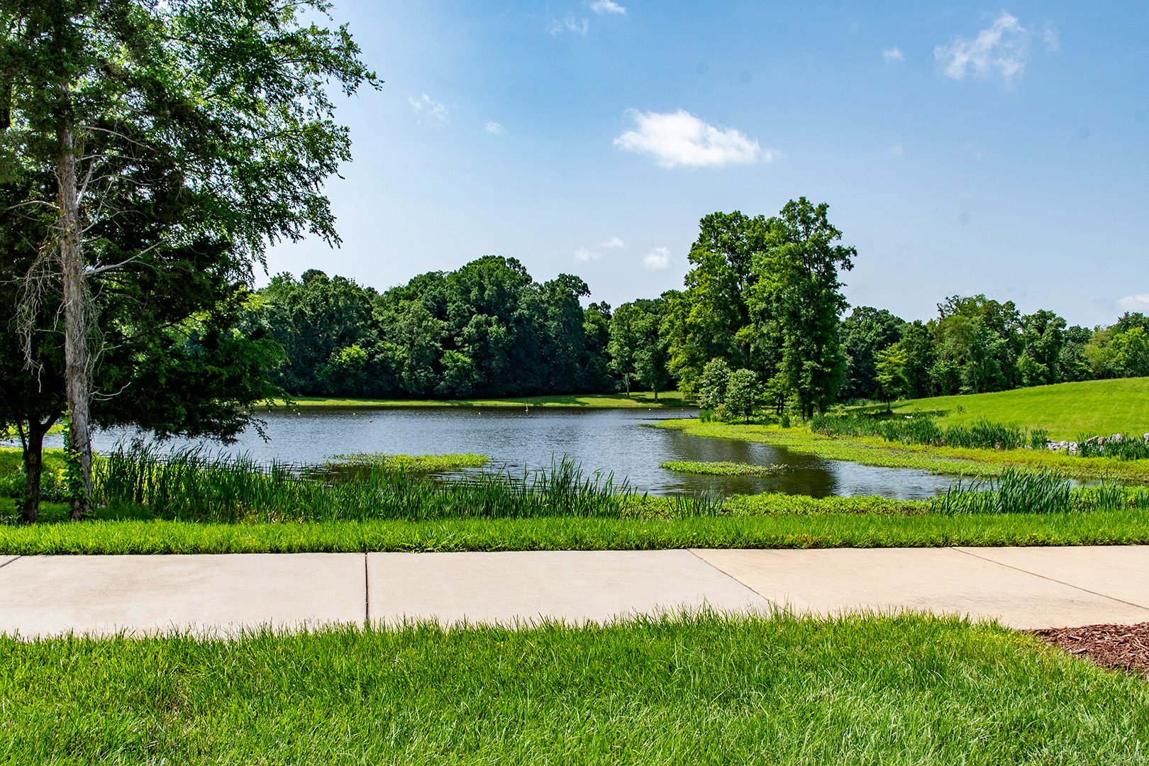 scenic pond with trees and geenery behind a public sidewalk