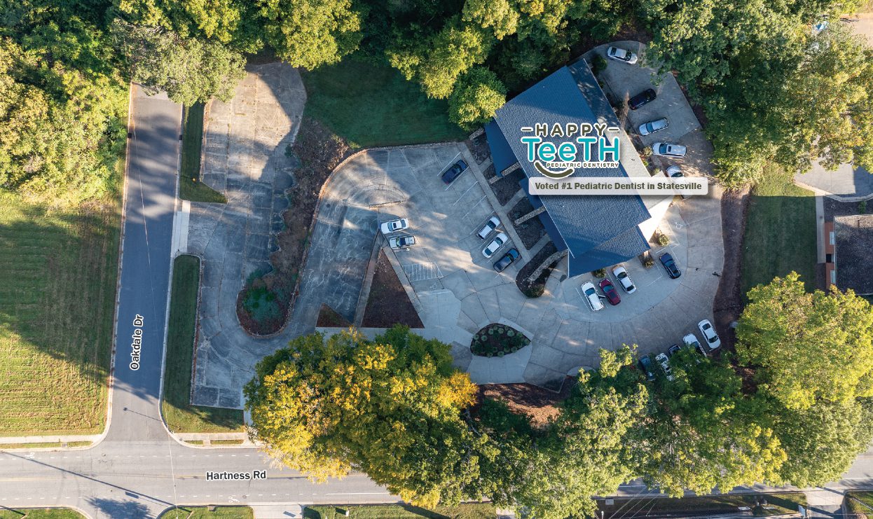 701 Hartness Rd Birdsye View